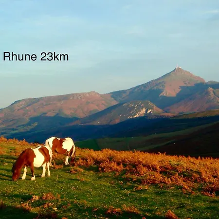 Baskoparadis I I Spacieux I Douillet I Colore I Lit 160 I Terrasse I Patio * Cambo-les-Bains